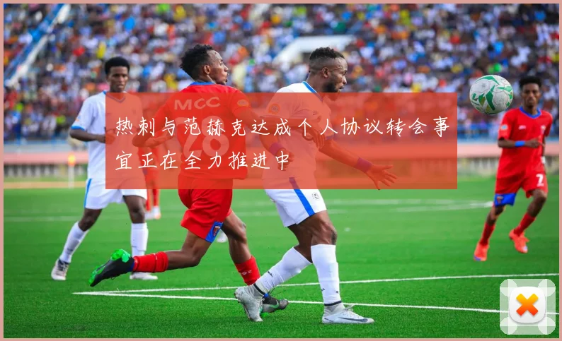 热刺与范赫克达成个人协议转会事宜正在全力推进中