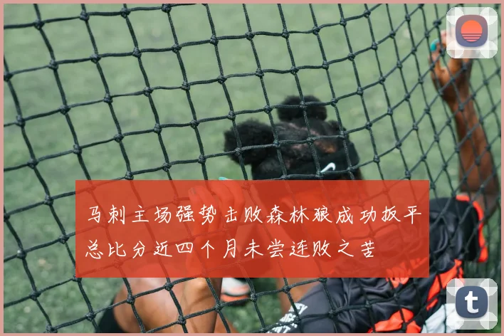 马刺主场强势击败森林狼成功扳平总比分近四个月未尝连败之苦