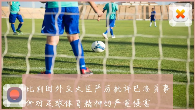 比利时外交大臣严厉批评巴洛贡事件对足球体育精神的严重侵害